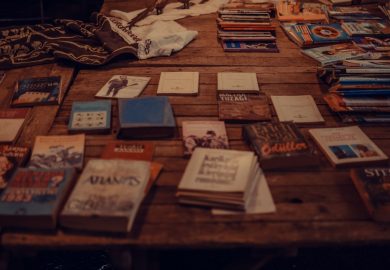 Pallavi Aiyar says a writer’s job is to write rather than to predict how it will be received