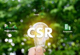 7 businesses doing something good for the environment