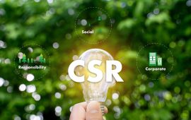 7 businesses doing something good for the environment