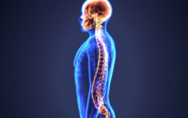 World Spine Day #BackinAction