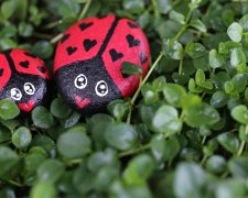 On knowing what kindness really is