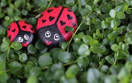 On knowing what kindness really is