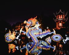 Immersive Art Exhibits: A New Genre