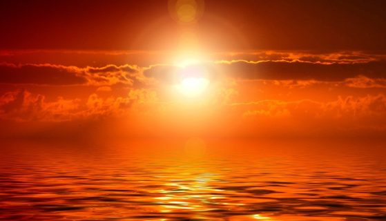 Celebrating the mighty Sun God in the month of ‘Magha’
