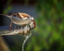 Summer is here! Drink more water with these really easy tips