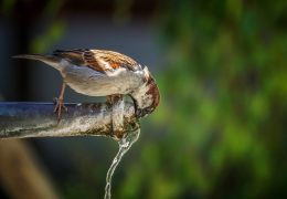 Summer is here! Drink more water with these really easy tips