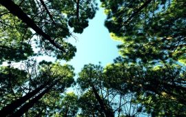 4 easy ways to stay optimistic during the pandemic