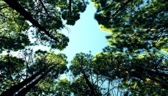 4 easy ways to stay optimistic during the pandemic