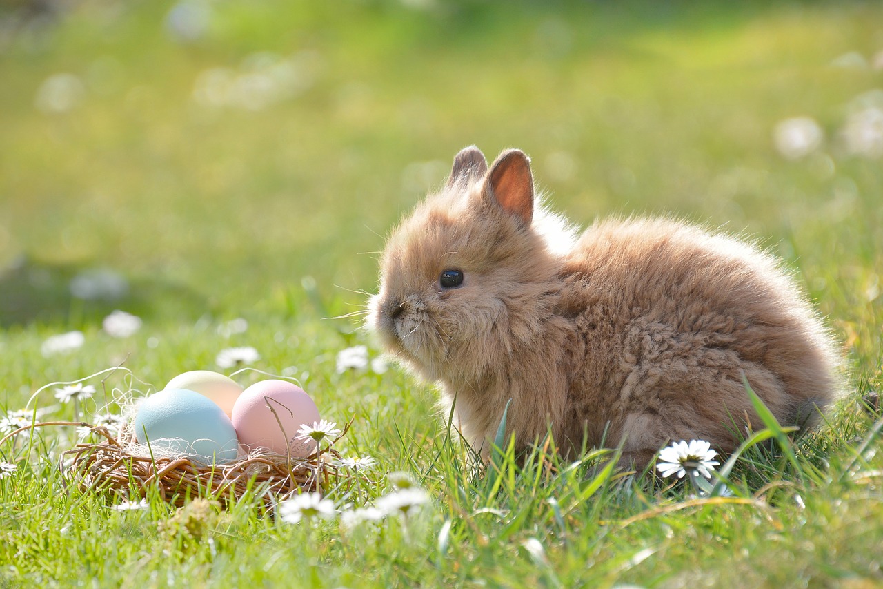 Decorating an Easter egg and 5 other Easter traditions we love