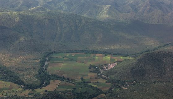 Celebrating the Tamil New Year with Shad Rasa