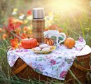 You’ll plan a picnic after reading these fun things you can do on one