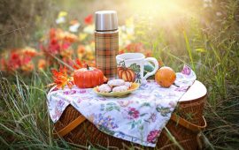 You’ll plan a picnic after reading these fun things you can do on one