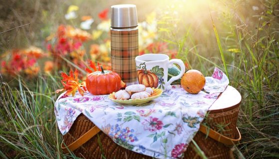 You’ll plan a picnic after reading these fun things you can do on one