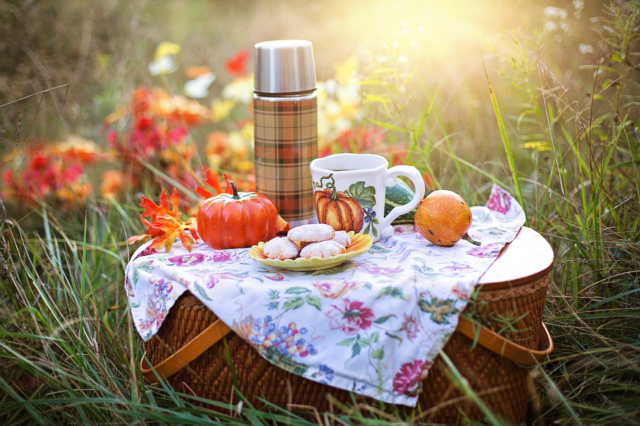You’ll plan a picnic after reading these fun things you can do on one
