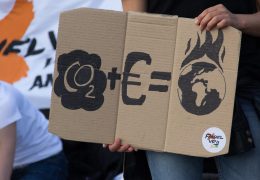 Why are doctors ushering in the climate change movement?