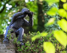 Learning from the power of observation