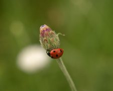 Life lessons from the basket of your portfolio