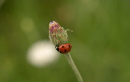 Life lessons from the basket of your portfolio