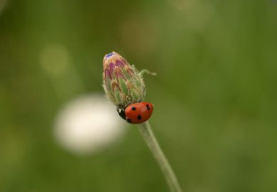 Life lessons from the basket of your portfolio