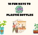 10 fun ways to reuse plastic bottles