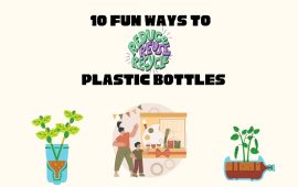 10 fun ways to reuse plastic bottles