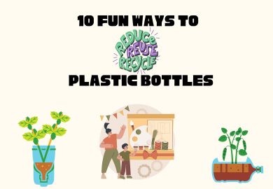 10 fun ways to reuse plastic bottles
