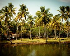 Start of the festive season Aadi and celebrations in the Winter Solstice