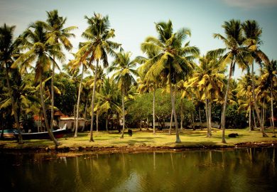 Start of the festive season Aadi and celebrations in the Winter Solstice