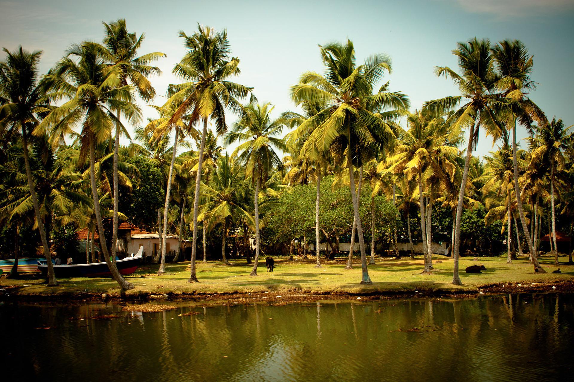 Start of the festive season Aadi and celebrations in the Winter Solstice