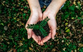 Is the rising population an imminent threat to humans?