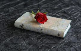 Appreciating Indian Poetry