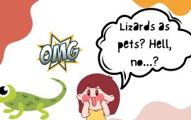 Lizards as pets? Hell, no…?