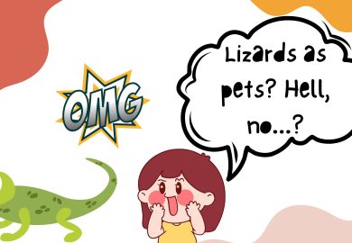 Lizards as pets? Hell, no…?