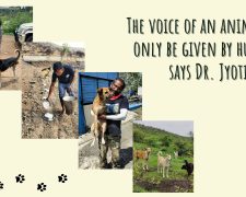 The voice of an animal can only be given by humans says Dr. Jyoti