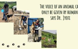 The voice of an animal can only be given by humans says Dr. Jyoti