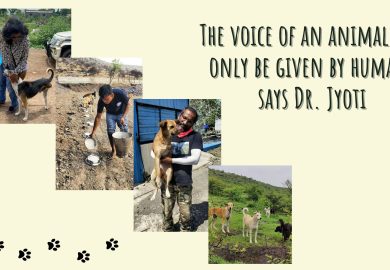 The voice of an animal can only be given by humans says Dr. Jyoti