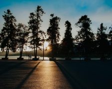 Overcoming the Fear of Missing Out (FOMO) from Self