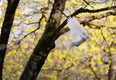 What does personal peace mean?