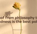 Proof from philosophy that kindness is the best policy