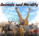 Animals and Morality