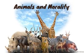 Animals and Morality