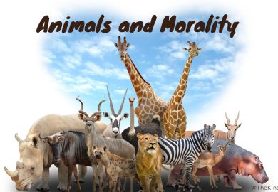 Animals and Morality