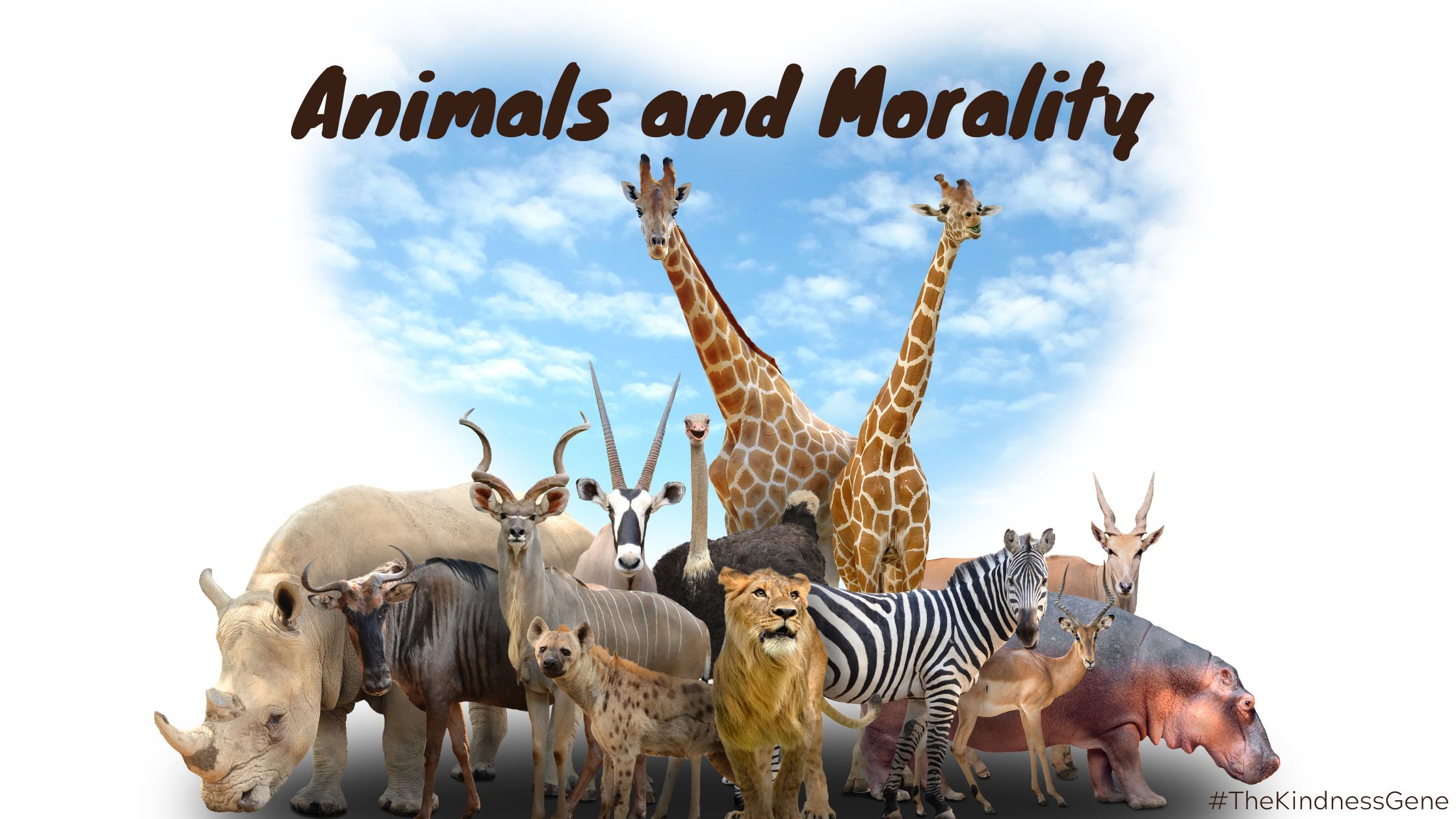 Animals and Morality