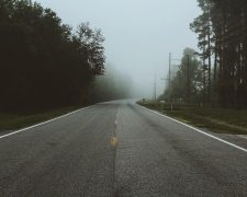 Adaptability- An edge to survive and succeed