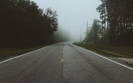 Adaptability- An edge to survive and succeed