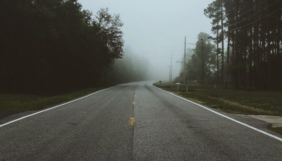 Adaptability- An edge to survive and succeed