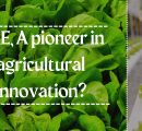 UAE, A pioneer in agricultural innovation?