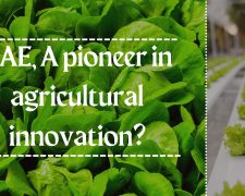 UAE, A pioneer in agricultural innovation?