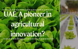 UAE, A pioneer in agricultural innovation?