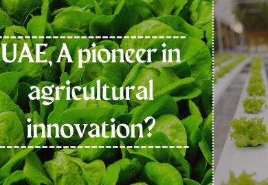 UAE, A pioneer in agricultural innovation?